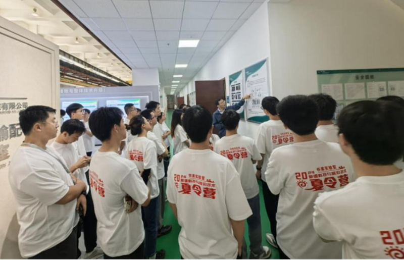 电竞实时数据网